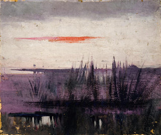 L'analisi del cielo simulato da fenicotteri rosa per il libro sulla colorazione nel regno animale - Abbott Handerson Thayer — vista dell’opera