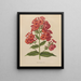 Flore olandese e Pomone PL39 - Abraham Jacobus Wendel — quadro incorniciato alla parete