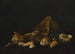 Shells in a purple tapestry - Abraham van Calraet — artwork view