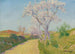 La Route aux amandiers fleuris - Achille Laugé — vista dell’opera