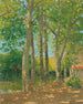 Landschaft mit großen Bäumen - Achille Laugé — Ansicht des Kunstwerks