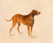 Jagdhund - Adalbert Stifter — Ansicht des Kunstwerks