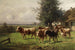 Troupeau de vaches près de Dachau - Adolf Chelius — Ansicht des Kunstwerks