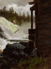 Eine Wasserfall - Adolph Tidemand — Ansicht des Kunstwerks