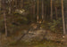 Studio forestale - Adolph Tidemand — vista dell’opera