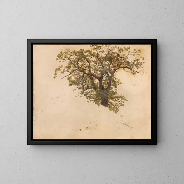 Studie einer Eiche - Adolph Tidemand — gerahmtes Bild an der Wand