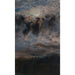 Reproduction of the painting Moonlight over the rooftops of Berlin - Adolph von Menzel