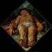 Adonis mourant - Hendrick Goltzius — Ansicht des Kunstwerks
