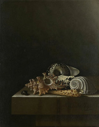 Adriaen Coorte - Shells on a Stone Plinth.webp