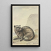 Ein seltsame viverrine Katze - Aert Schouman — gerahmtes Bild an der Wand