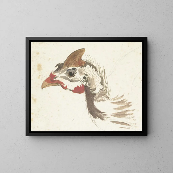 Tête de pintade casquée - Aert Schouman — quadro incorniciato alla parete
