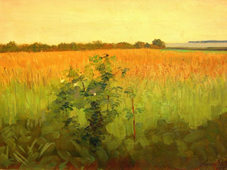 Agnes SlottMller - Fields.webp