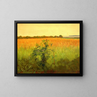 Agnes SlottMller - Fields.webp