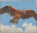 Falke - Akseli Gallen-Kallela — Ansicht des Kunstwerks