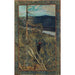 Le grand pic noir - Akseli Gallen-Kallela — vista dell’opera