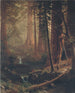 Sequoie giganti della California - Albert Bierstadt — vista dell’opera
