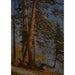 Parco a Vancouver - Albert Bierstadt — vista dell’opera