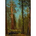 Riproduzione del dipinto Le Grizzly Giant Sequoia Mariposa Grove California - Albert Bierstadt