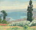 Baia di Algeri vista di El-Biar - Albert Marquet — vista dell’opera