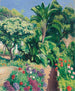 Der blühende Garten - Albert Marquet — Ansicht des Kunstwerks