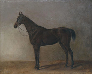 Albrecht Adam - Brauner Wallach.webp