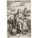 La Vierge et l'Enfant avec le singe - Albrecht Dürer — vista dell’opera