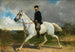 Ritratto equestre - Albrecht Grueber — vista dell’opera