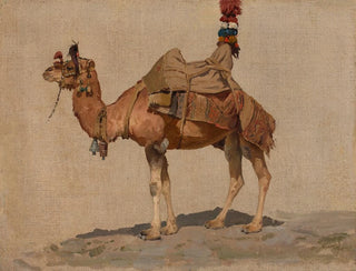 Aleksei Kivshenko - Study of a camel.webp