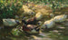 Enten auf einem Teich - Alexander Koester — Ansicht des Kunstwerks