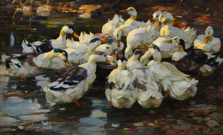 Alexander Koester - Enten am Frenapf Entenftterung.webp