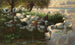 Enten am Seeufer - Alexander Koester — Ansicht des Kunstwerks