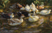 Enten im Teich, Enten am Bach - Alexander Koester — Ansicht des Kunstwerks