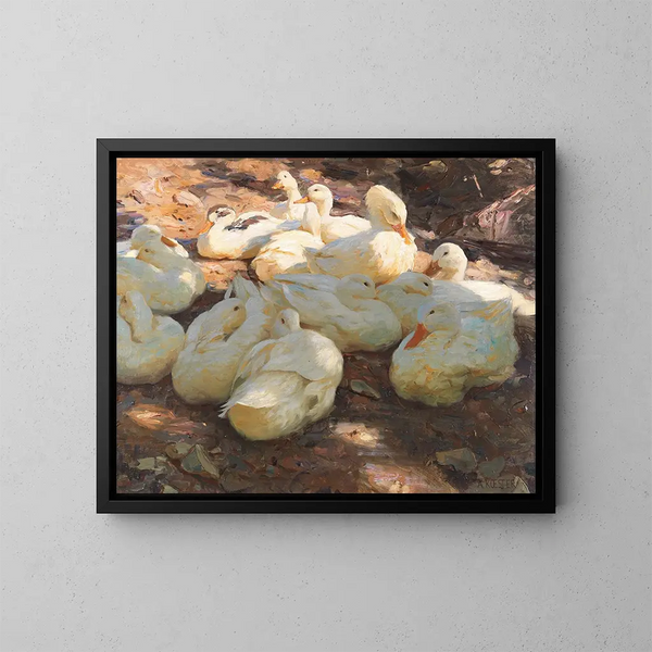 Anatre sdraiate, luce e ombra - Alexander Koester — quadro incorniciato alla parete