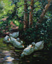 Sei anatre nell'acqua - Alexander Koester — vista dell’opera