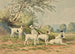Six Jack Russell Terriers - Alexander Pope Jr — artwork view