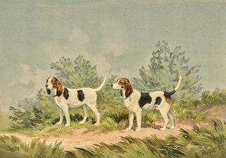 Alexander Pope Jr - Two standing Harriers facing left.webp