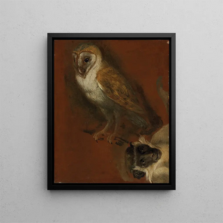 Alexandre Franois Desportes - Study of an owl with a fragmentary study of a monkey.webp