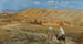 Nel Deserto dell'Afghanistan - Alexandre Iacovleff — vista dell’opera