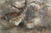 Scène di Foresta - Alexis Victor Joly — vista dell’opera