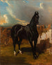 Cavaliere nero - Alfred de Dreux — vista dell’opera