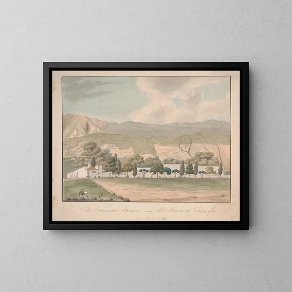 Der botanische Garten bei Puerto de la Orotava, Teneriffa - Alfred Diston — gerahmtes Bild an der Wand