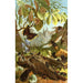 Reproduction of the painting Les insectes mille-pattes et araignées Pl 03 - Alfred Edmund Brehm
