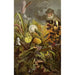 the Insects millipedes and spiders Pl 18 - Alfred Edmund Brehm — artwork view
