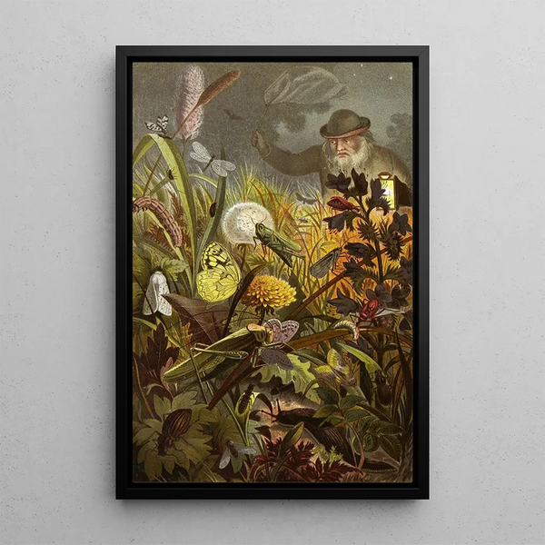 Alfred Edmund Brehm - Die Insekten Tausendfussler und Spinnen Pl 18.webp