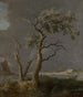Alberi sul bordo dell'acqua (1) - Allaert van Everdingen — vista dell’opera