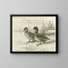 Stockente gefleckt - Allan Brooks — gerahmtes Bild an der Wand