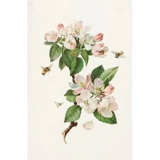 Alois Lunzer - Apple Blossoms and Bees.webp