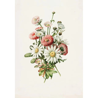 Alois Lunzer - Daisies.webp