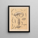 La fauna delle grotte del Nord America Pl 16 - Alpheus Spring Packard — quadro incorniciato alla parete