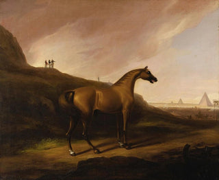 Alvan Fisher - Napoleons Horse.webp